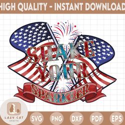 Shake Your Sparkle PNG | 4th Of July Sublimation | 4th Of July PNG | 4th Of July Sublimation | Patriotic Print