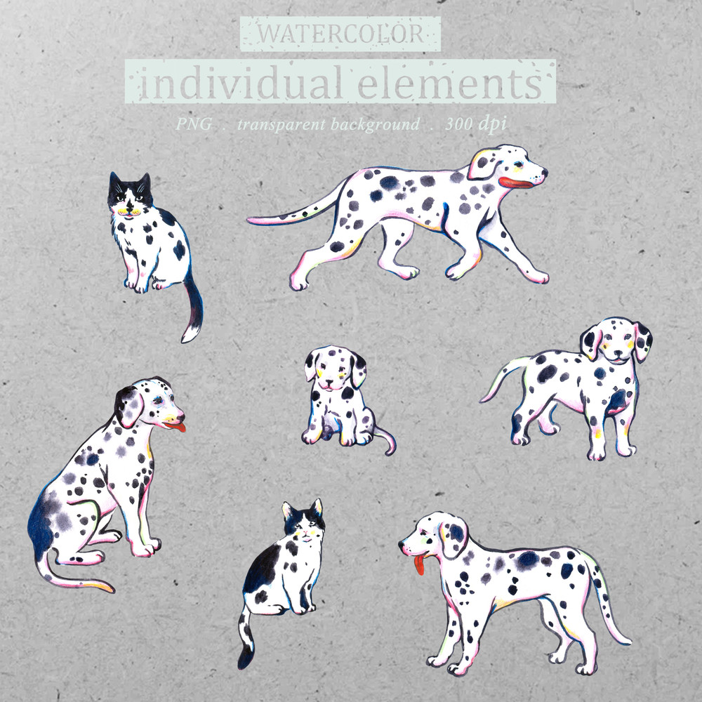 Illustration Watercolor set dalmatian dogs and cats, Clipart PNG and patterns.jpg