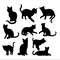 Cat SVG Bundle 2.jpg
