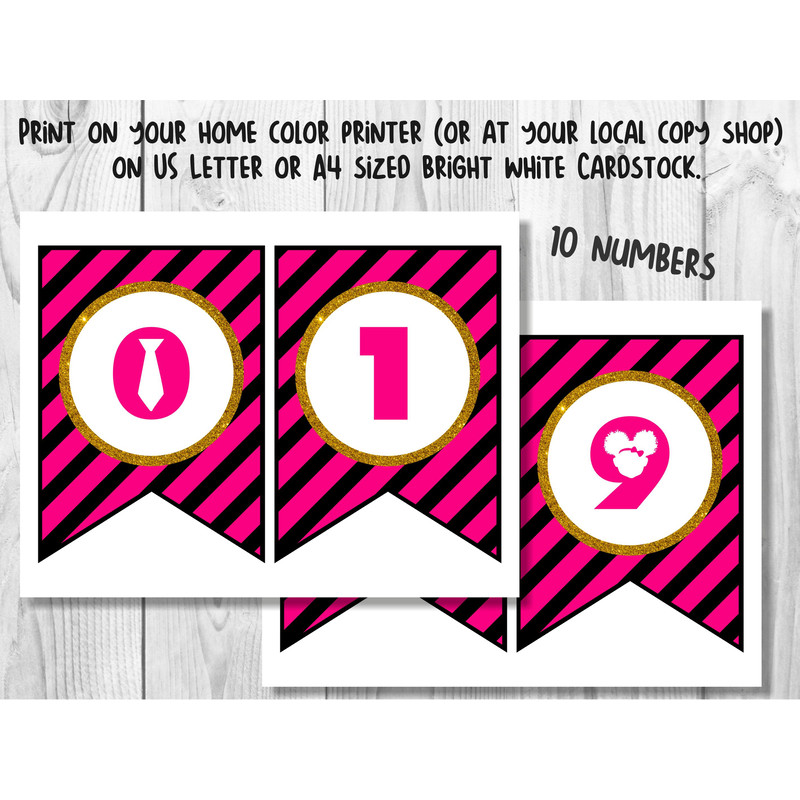 Boss Baby Girl Birthday Printable Banner 4.jpg