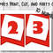 Roblox Birthday Printable Banner 4.jpg