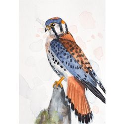 American kestrel original watercolor painting windhover wall art predatory bird of prey wilderness hawk artwork abstract