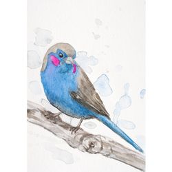Red cheeked cordon bleu finch original watercolor painting blue bird wall art small songbird artwork abstract chaffinch