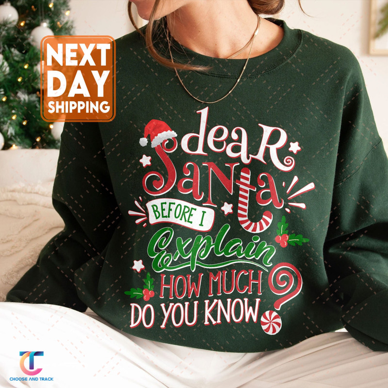 Dear Santa Sweatshirt, Dear Santa Christmas Family Shirts, Dear Santa Group Shirts, Christmas Family Shirt, Christmas Quotes Shirt - 1.jpg