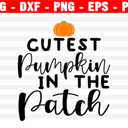 cutest pumpkin in the patch svg, fall svg, pumpkin patch svg, fall svg, kids fall shirt, autumn svg, cut file cricut