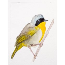 ACEO Common Yellowthroat bird original watercolor painting american little songbird small art warbler nursery wall decor