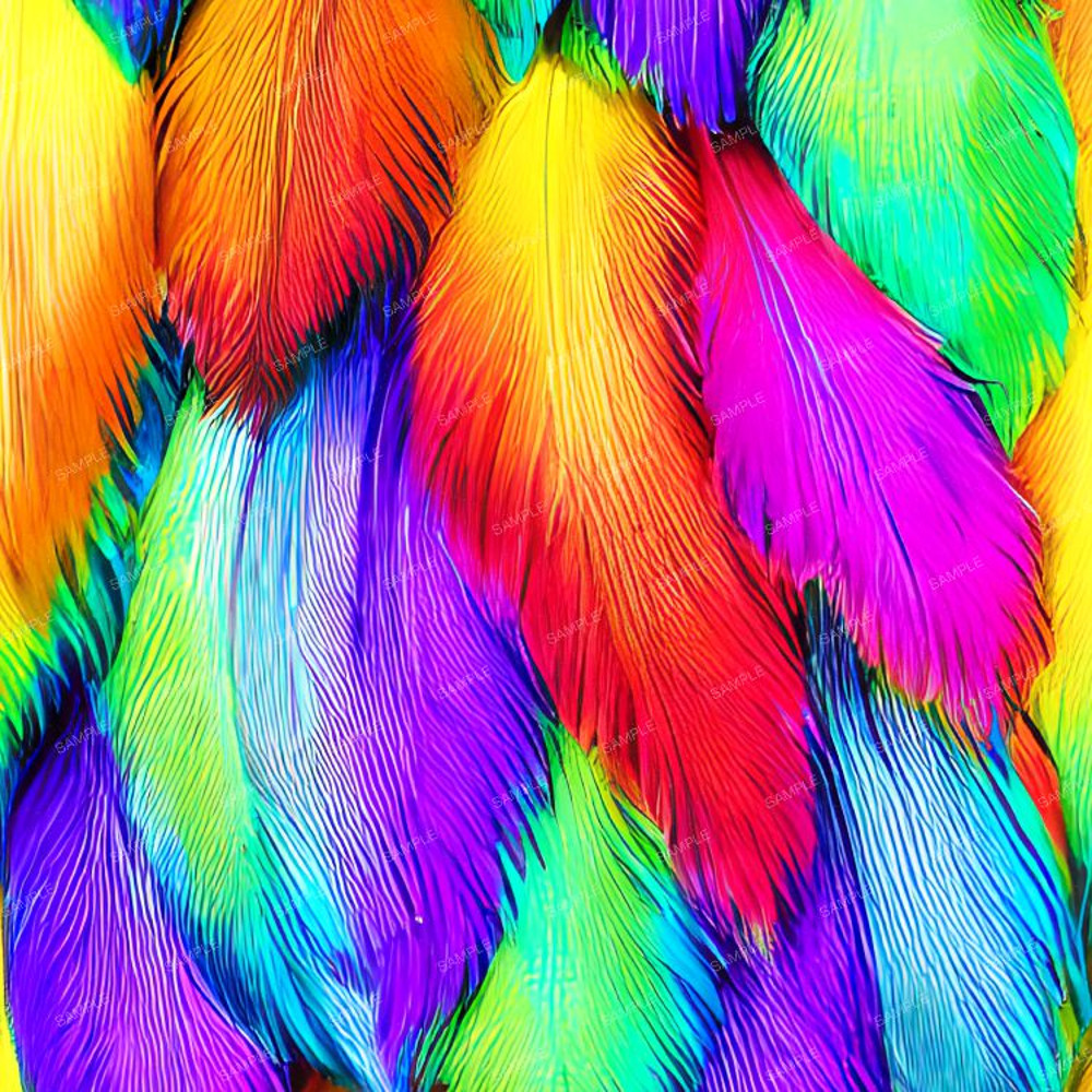 Rainbow Feather Plume.jpg