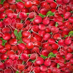 radishes seamless tileable repeating pattern