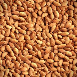 roasted almonds seamless tileable repeating pattern