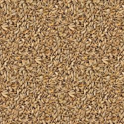 seeds seamless tileable repeating pattern