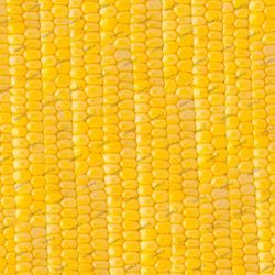 sweet corn 22 seamless tileable repeating pattern