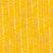 Sweet Corn 22.jpg