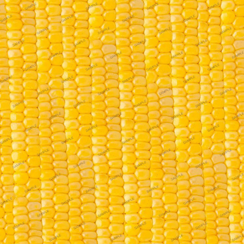 Sweet Corn 22.jpg