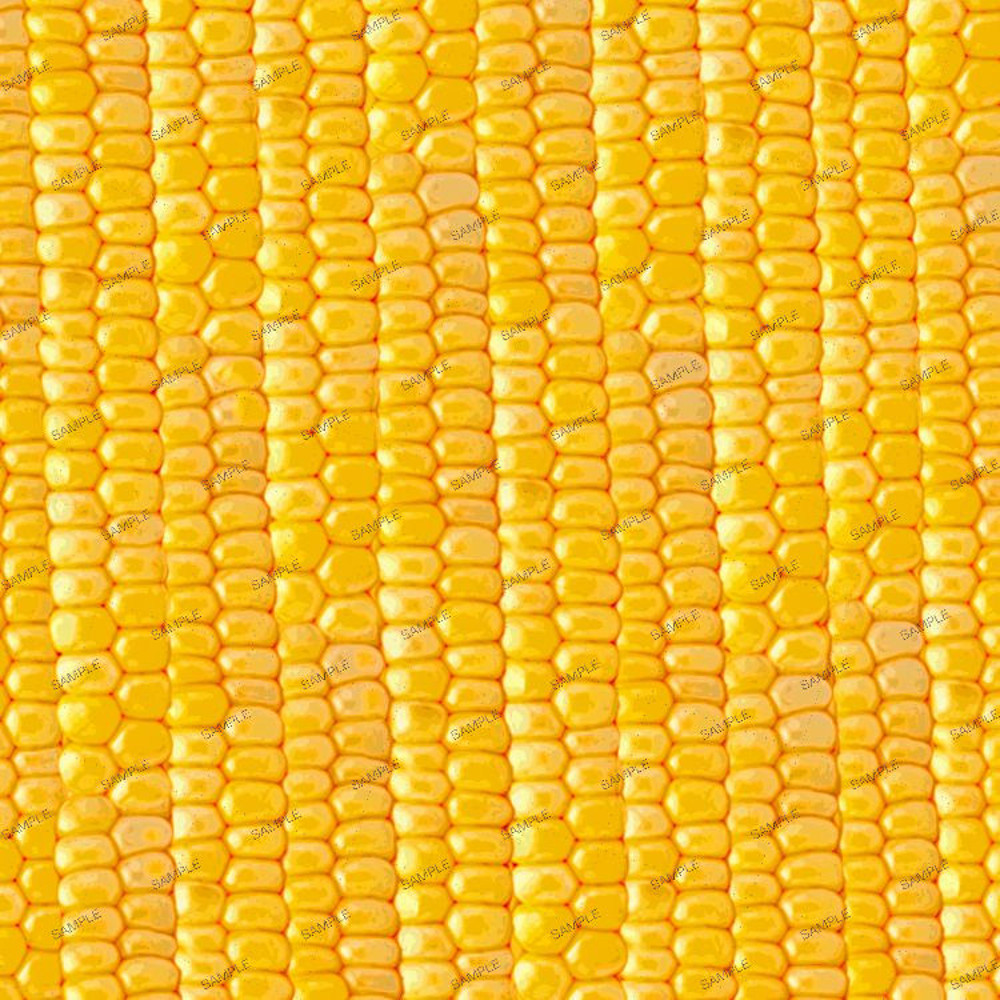 Sweet Corn 23.jpg