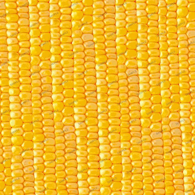 Sweet Corn 23.jpg