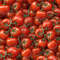 Tomatoes 23.jpg