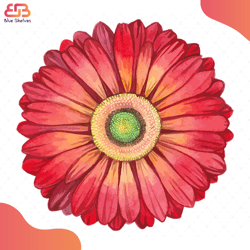 red watercolor gerbera svg, flower svg, gerbera svg, watercolor svg, birthday gift sv