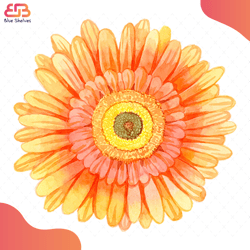 watercolor gerbera svg, flower svg, gerbera svg, gerbera flower svg, birthday gift sv