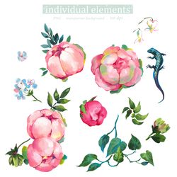 Illustration set pink roses flowers
