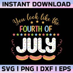 you look like the 4th of july svg png,retro svg,4th of july svg,fourth of july svg,america svg,patriotic svg shirt,indep