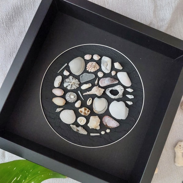 Sea Shell Circle Wall Art SeaShell Collage Art Mosaic Sea Sh - Inspire ...