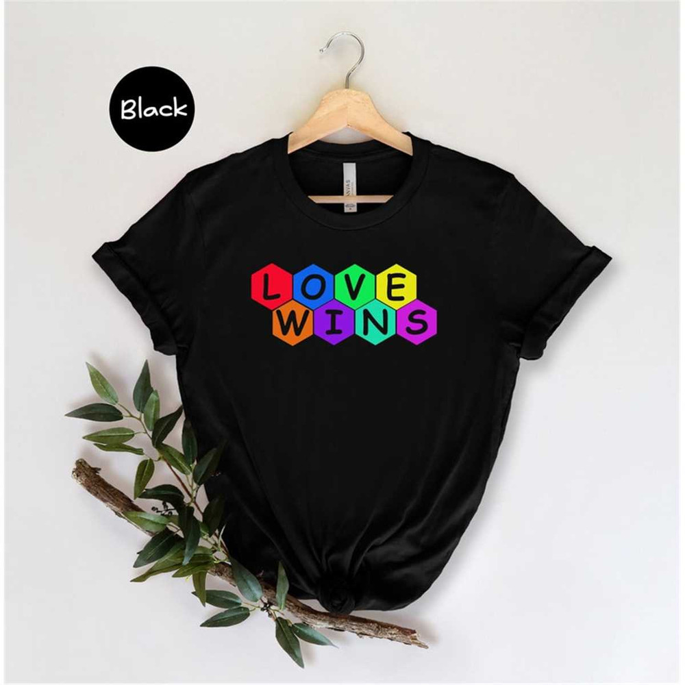 MR-162023112545-love-wins-shirt-lgbtq-shirt-pride-month-shirt-equal-rights-image-1.jpg