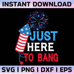 4th of july just here to bang svg, 1776 svg, american patriotic, the fourth of july, svg, png files for cricut