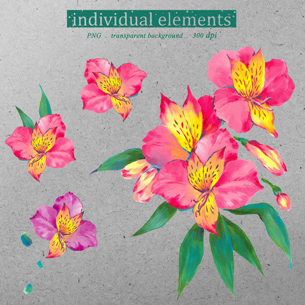 Illustration set tropical pink flowers painted in oil with large strokes, Floral Clipart PNG and patterns21.jpg
