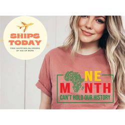 one month cant hold our history t-shirt, black history t-shirt, black history month awareness shirt, human rights tee, c