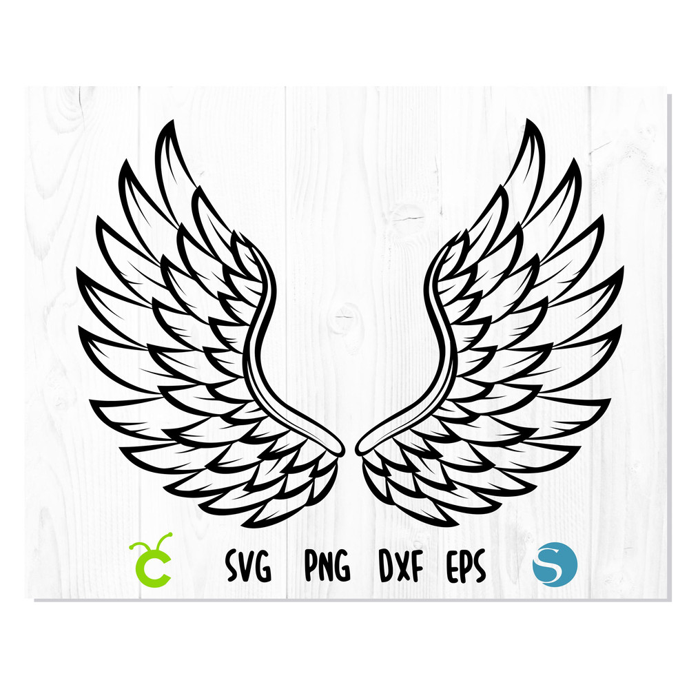 Wings 1.jpg