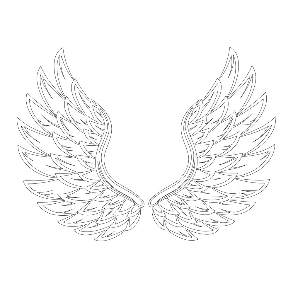 Wings 3.jpg