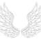 Wings 3.jpg