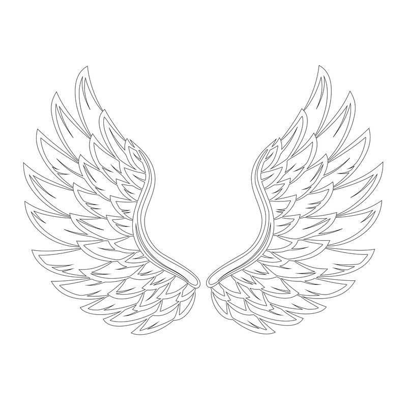 Wings 3.jpg