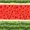 Watermelon 26.jpg