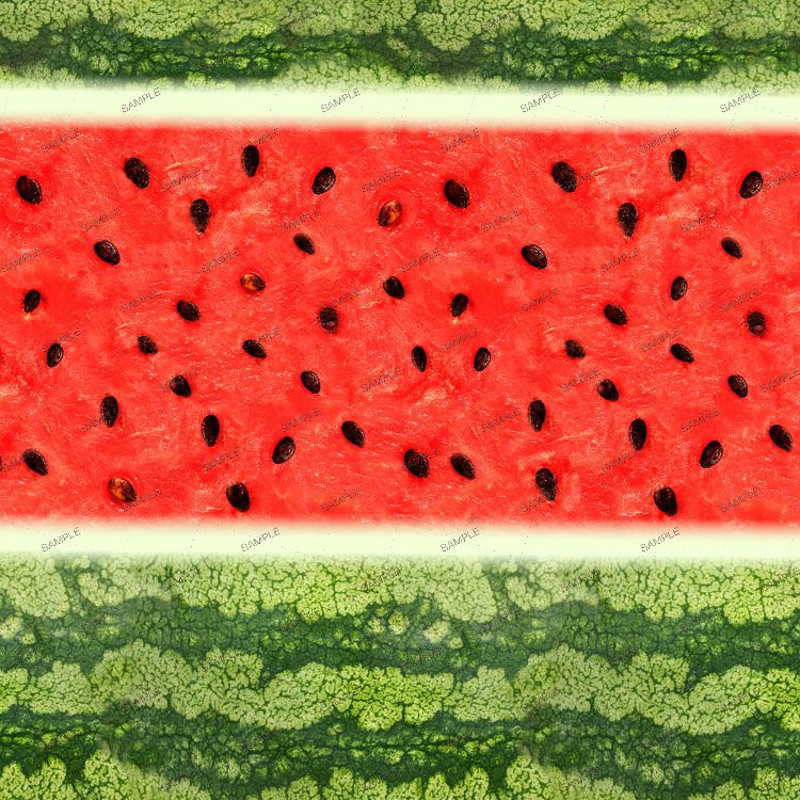 Watermelon 26.jpg