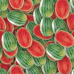 watermelon 22 seamless tileable repeating pattern