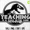 TEACHING - Is A Walk in the Park 1.jpg