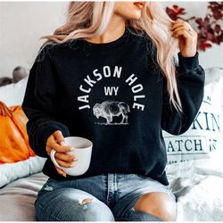 national park shirt | jackson hole sweatshirt | vintage sweatshirt | retro shirt | camp shirt | hiker shirt | rv shirt |