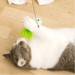 interactive cat toy funny simulation feather bird with bell cat stick toy for kitten playing teaser wand toy cat h34