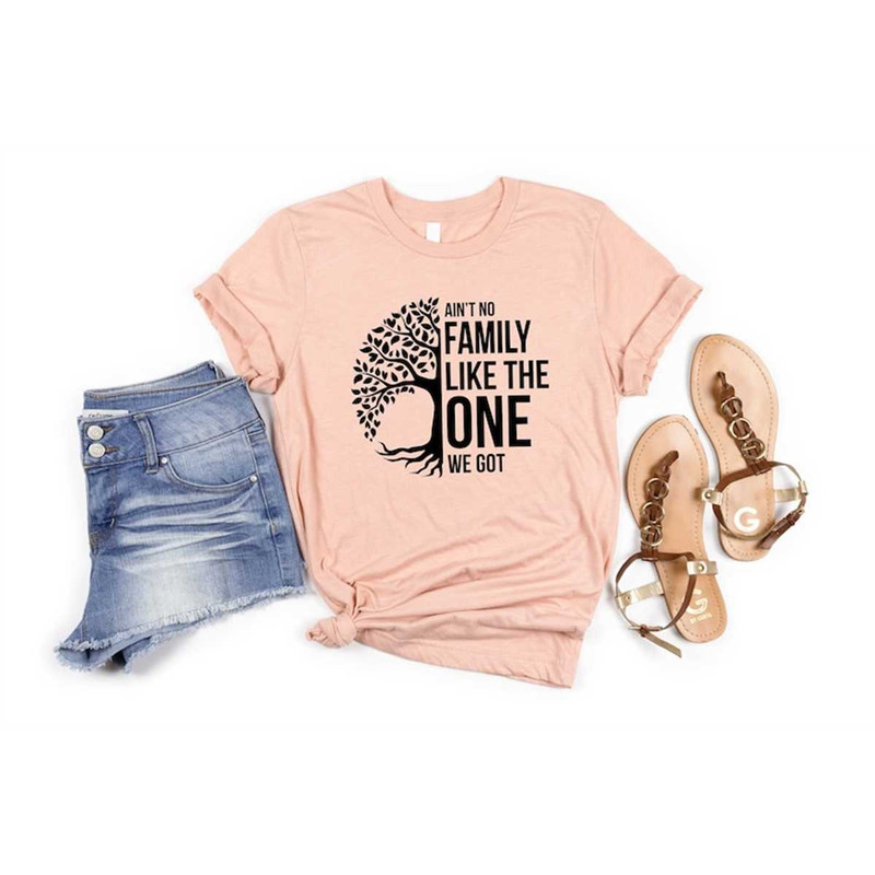 MR-262023175837-family-shirts-aint-no-family-like-the-one-i-got-shirt-image-1.jpg