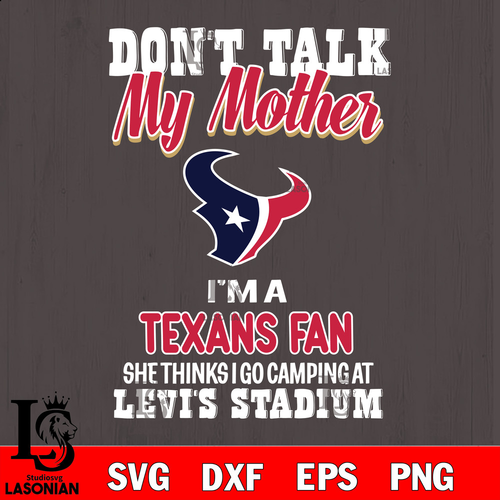 Houston Texans fan.jpg