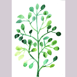 Downloadable watercolor green botanical tree painting print. Small botanic illustration sketch