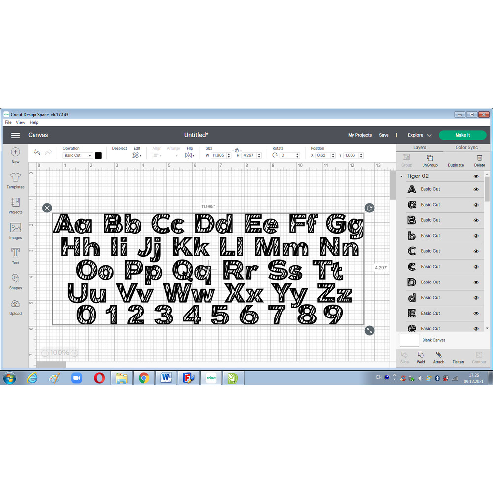 Tiger font svg 4.png