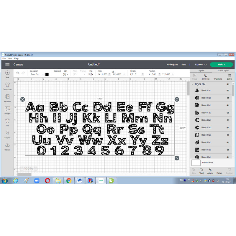 Tiger font svg 4.png