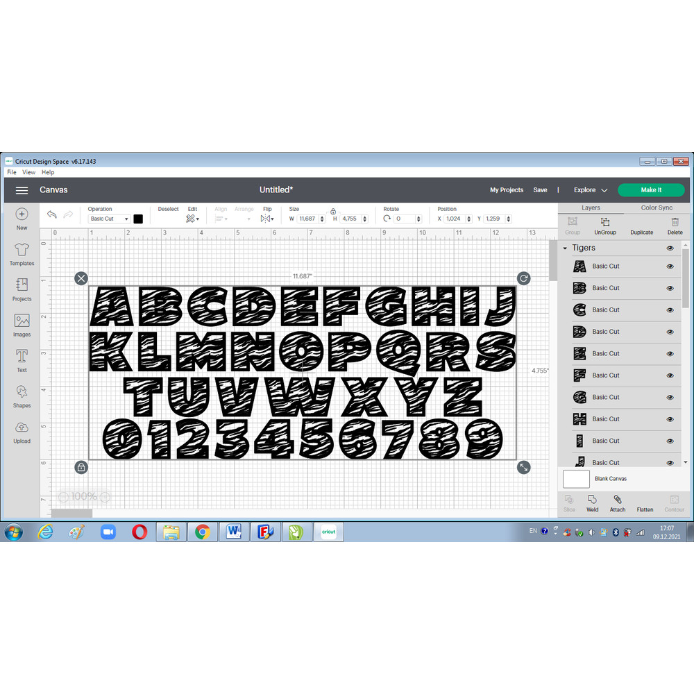 Tiger font svg 3.png