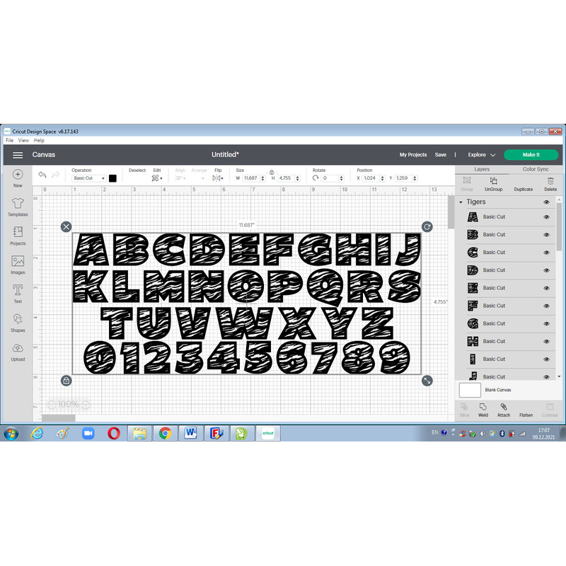 Tiger font svg 3.png