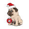 CRM12112048.jpg