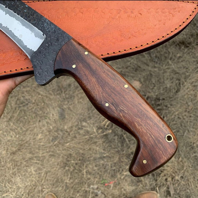 IMG20230419WA0190jpg