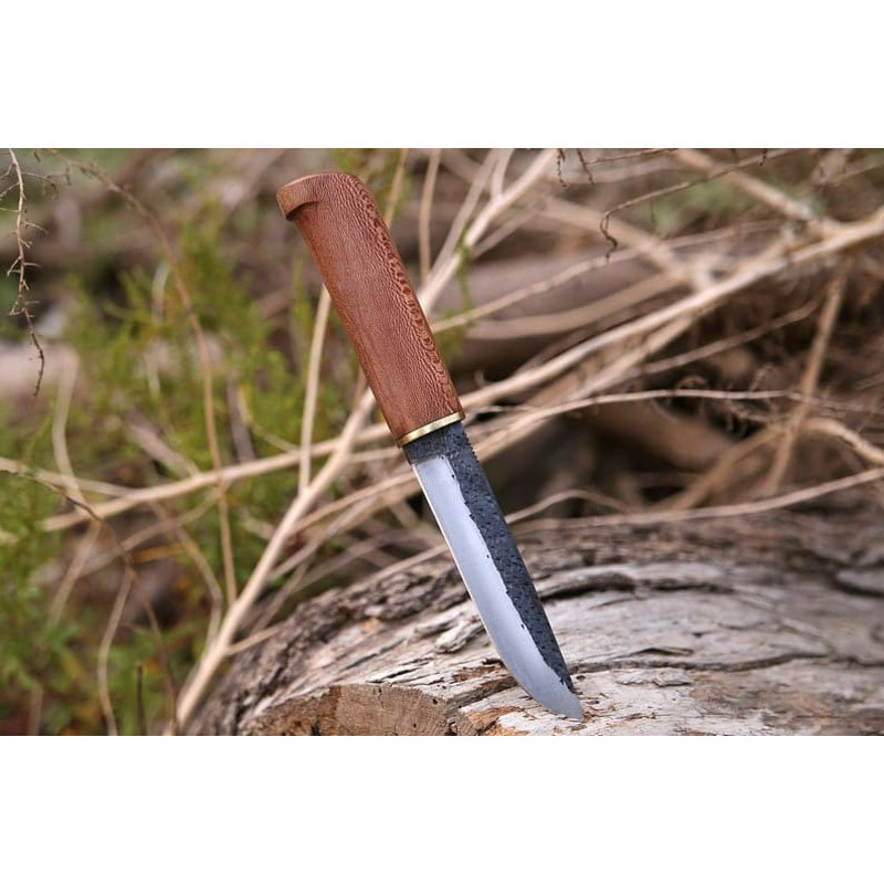 IMG20230419WA0030jpg