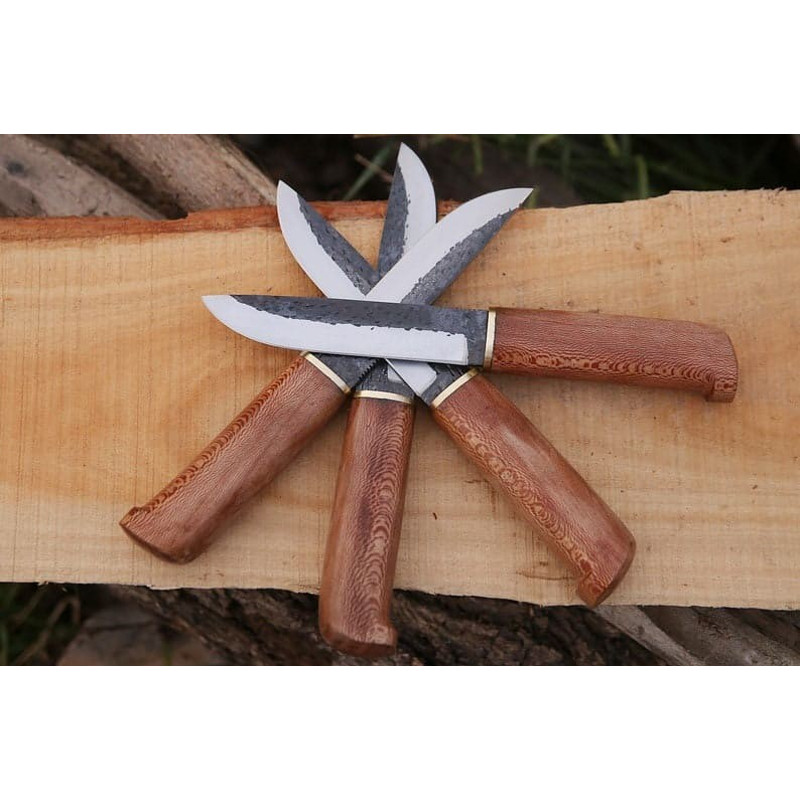 IMG20230419WA0031jpg